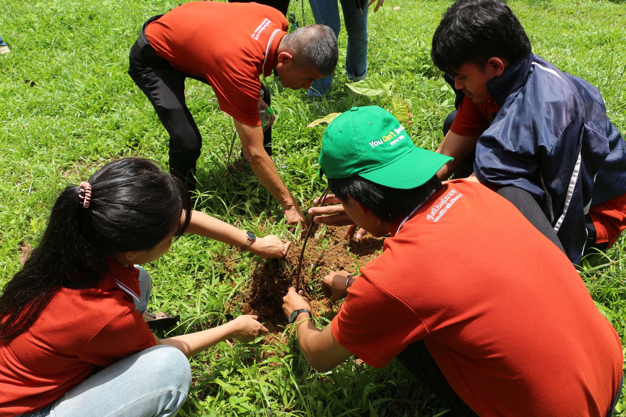 ICCH สนับสนุนต่อสังคมและชุมชนในโครงการ “เพาะกล้า โกโก้ อินทรีย์” ของ ICC Hat Yai ชุมชุนเข้มแข็ง องค์กรแข็งแกร่ง พัฒนาสังคมให้ยั่งยืน